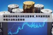 茉莉花的养殖方法和注意事项_冬天茉莉花的养殖方法和注意事项
