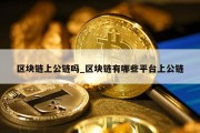 区块链上公链吗_区块链有哪些平台上公链