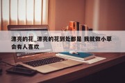漂亮的花_漂亮的花到处都是 我就做小草 会有人喜欢