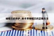 蝴蝶兰的养护_新手养蝴蝶兰的正确方法