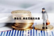 黄色花_黄色花图片头像