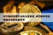 吊竹梅的养殖方法和注意事项_吊竹梅冬季的养殖方法和注意事项