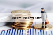 红花葱兰_红花葱兰生长特性