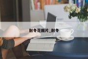 耐冬花图片_耐冬