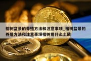 榕树盆景的养殖方法和注意事项_榕树盆景的养殖方法和注意事项榕树用什么土质
