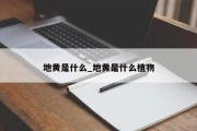 地黄是什么_地黄是什么植物