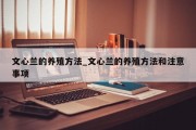 文心兰的养殖方法_文心兰的养殖方法和注意事项