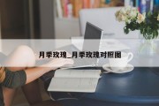 月季玫瑰_月季玫瑰对照图