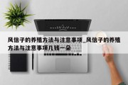 风信子的养殖方法与注意事项_风信子的养殖方法与注意事项几钱一朵