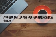 乒乓福娘多肉_乒乓福娘多肉的养殖方法和注意事项