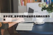 夏季蔬菜_夏季蔬菜种植铺黑色地膜的主要作用