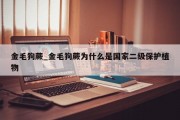 金毛狗蕨_金毛狗蕨为什么是国家二级保护植物