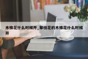 木棉花什么时候开_攀枝花的木棉花什么时候开