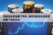 鸿运当头花枯萎了咋办_请问鸿运当头这种花枯萎了该怎么办