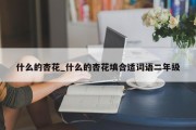 什么的杏花_什么的杏花填合适词语二年级