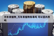万年青植物_万年青植物有毒吗 可以室内养吗