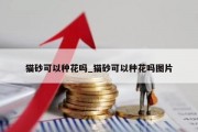 猫砂可以种花吗_猫砂可以种花吗图片