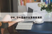 子叶_子叶是由什么发育而来的