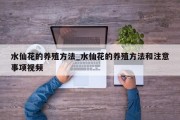水仙花的养殖方法_水仙花的养殖方法和注意事项视频