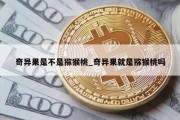 奇异果是不是猕猴桃_奇异果就是猕猴桃吗