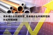 夜来香什么时候开花_夜来香什么时候开花的什么时候凋谢
