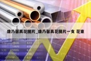 康乃馨真花图片_康乃馨真花图片一支 花束