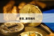 墨菊_墨菊图片