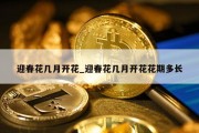 迎春花几月开花_迎春花几月开花花期多长